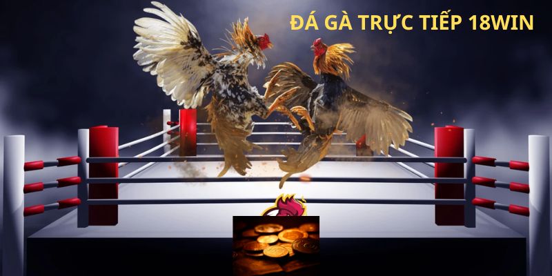Đá gà trực tiếp 18WIN