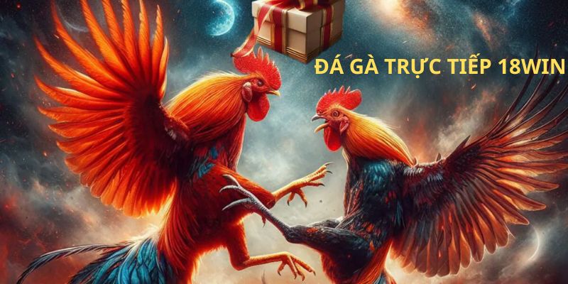 Hình thức đá gà trực tiếp 18WIN nổi đình đám